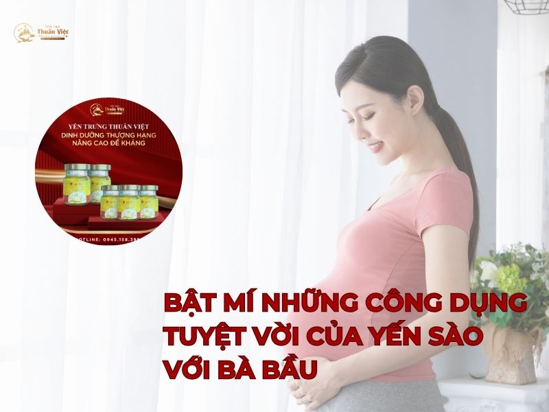 Bật mí những công dụng tuyệt vời của yến sào đối với bà bầu