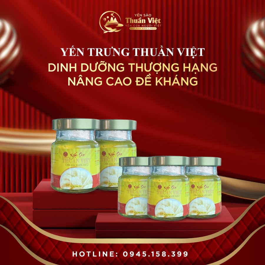 Phân biệt yến thô, yến tinh chế và yến chưng sẵn