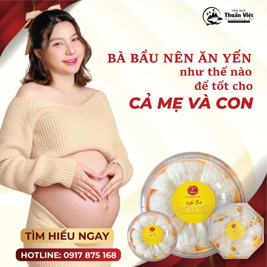 Uống nước yến mỗi ngày có tốt không? Lợi ích và rủi ro bạn cần biết