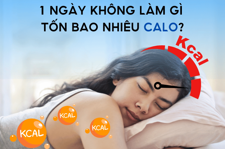 1 Ngày không làm gì tốn bao nhiêu calo?