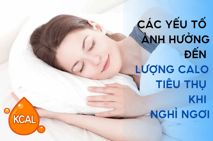 Các Yếu Tố Ảnh Hưởng Đến Lượng Calo Tiêu Thụ Khi Nghỉ Ngơi