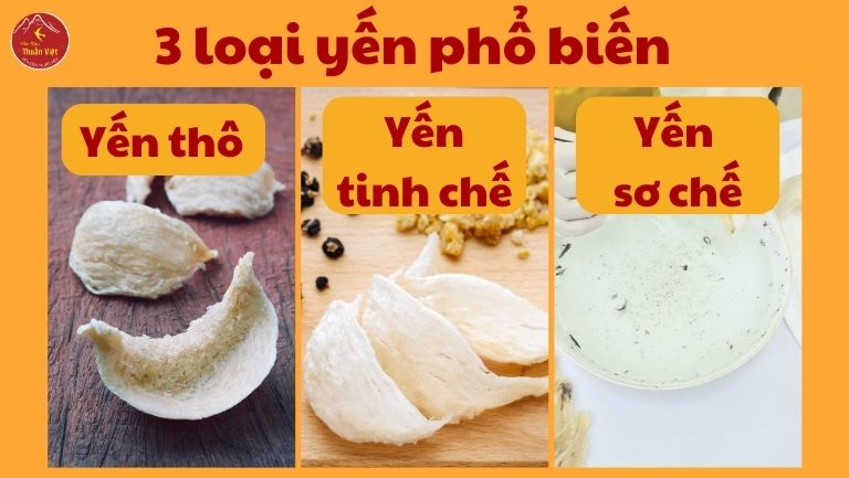 Các Loại Yến Phổ Biến Trên Thị Trường