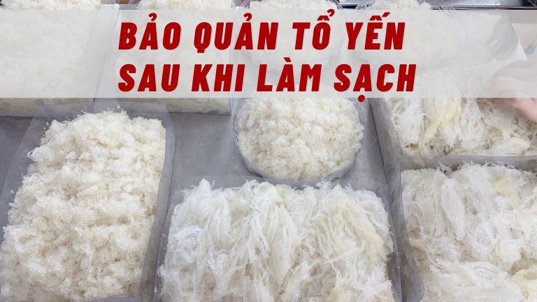 Cách Bảo Quản Tổ Yến Sau Khi Nhặt Sạch Lông