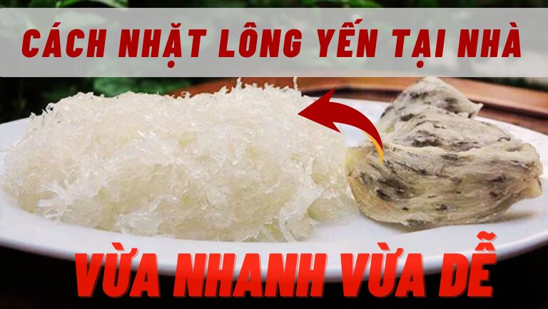 Cách Nhặt Lông Yến Tại Nhà 