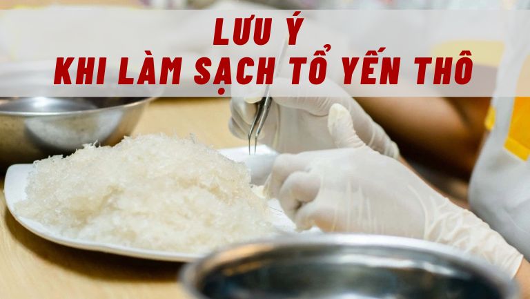 Lưu Ý Khi Làm Sạch Tổ Yến Thô 