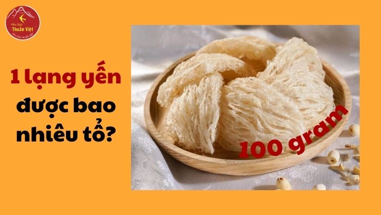 1 Lạng Yến Được Bao Nhiêu Tổ?