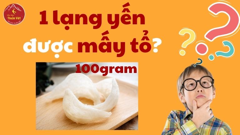 1 Lạng Yến Được Bao Nhiêu Tổ?