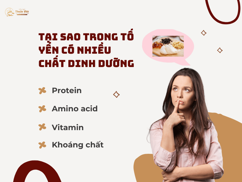 Ăn Yến Có Tác Dụng Gì? Những Lợi Ích Tuyệt Vời Của Yến Sào